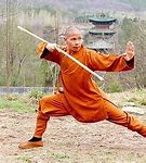 Image result for Praying Mantis Kung Fu Forms