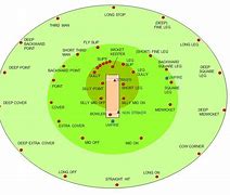 Image result for Parts of Cricket Ground