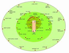 Image result for Cricket Team Positions