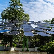 Image result for Solar Tree