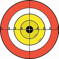 Image result for Shooting Targets