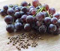 Image result for Grapes Seeds 4K