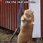 Image result for Funny Party Dance Meme
