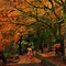 Image result for Early Autumn Background