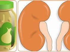 Image result for Kidney Dish Use