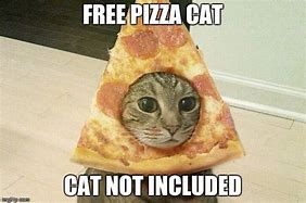 Image result for Cat and Pizza Meme