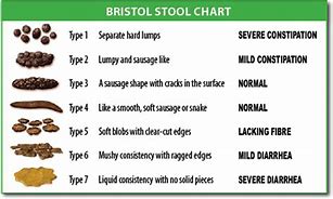 Image result for Sit Up Challenge 30-Day Chart
