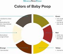 Image result for Poop Color:Red