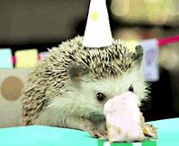 Image result for Hedgehog Eating Cereal Oil Pastel