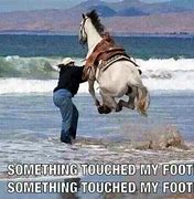 Image result for Horse On Beach Meme