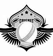 Image result for Cricket Lover in 3rd Image