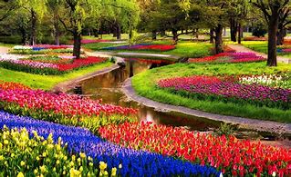 Image result for Best Flower Gardens