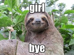 Image result for British Girls Meme Sloth