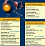 Image result for Ovarian Functional Cyst vs Septated Cyst On Ultrasound