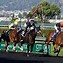Image result for Horse Race Finish Line