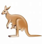 Image result for Cute Kangaroo Emoji