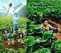 Image result for Farmer Poster