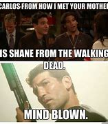 Image result for Walking Dead Shane Meme Season 2