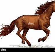Image result for Horse Racing Sign Bet