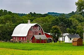 Image result for Jan Nohavica Wisconsin