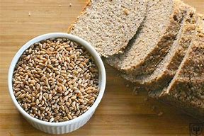 Image result for Sprouted Wheat Bread