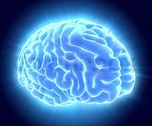 Image result for Blue Brain Trube