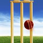 Image result for Cricket Pitch Texture