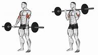 Image result for Barbell Arm Exercises
