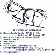 Image result for Horse Harness Parts