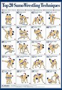 Image result for Sumo Wrestling Techniques