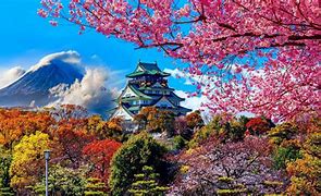 Image result for Japanese Castle Architecture