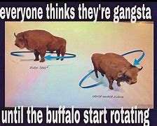 Image result for Great White Buffalo Meme