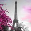 Image result for Pink Eiffel Tower Desktop Wallpaper