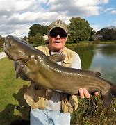 Image result for Giant Catfish Lures