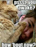 Image result for Funny Wake Up Picture Meme