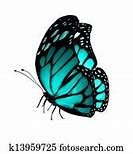 Image result for Turquoise Butterfly Wallpaper
