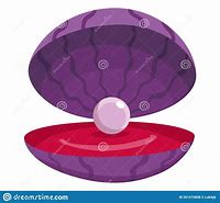 Image result for Scallop Open Shell Vector