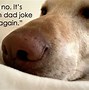 Image result for Extra Funny Jokes