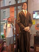 Image result for 8 FT Tall Person