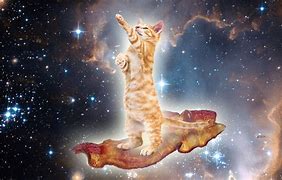 Image result for Space Cat PFP
