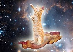 Image result for Hipster Galaxy Cat Wallpaper