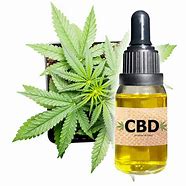 Image result for CBD Marijuana