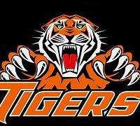 Image result for Tiger Delay Logo