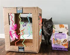 Image result for DIY Cardboard Cat Toys