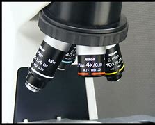Image result for Compound Microscope Lens
