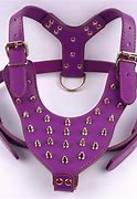 Image result for Dog Rock Climbing Harness