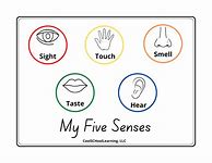 Image result for 5 Senses Preschool Hearing Activities