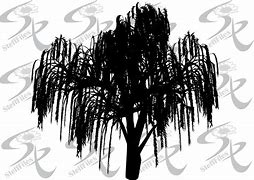 Image result for willow trees silhouettes
