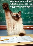 Image result for Funny Animal School Memes