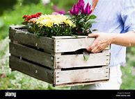 Image result for Woman Carrying Basket of Flowers